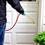 DSC_0250-70934fc518b14122bb41216216f18816e2fa0526a87a5aebc01386d2aa0d9b64