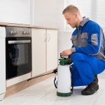 shutterstock_302066288