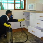 wl7ZkKa2TQSx2ss6Zp91_bug spray